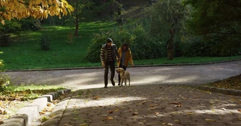 Young joyful couple strolling by a path up through the autumn park with a cute Stock Footage 82512793