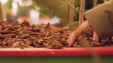 Young kid explores garden textures. Child gently sifted bark in cozy garden Stock Footage 337373385