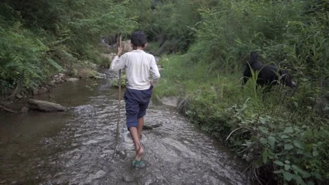 A young kid exploring the jungle while walking down the river. Stock Footage 145888948