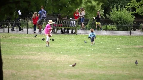 Young kid playing with the pigeons in the park Stock Footage