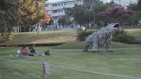 Young Koreans camping at Han River for weekend fun Stock Footage 114854214