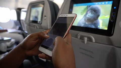 A young lady checking her phone on a plane Stock Footage 96692383