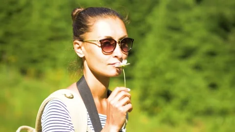 Young lady hiker with the backpack in a pine forest Stock Footage 136054116