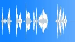 Young Lady Says Whatever Multiple 2 Sound Effect