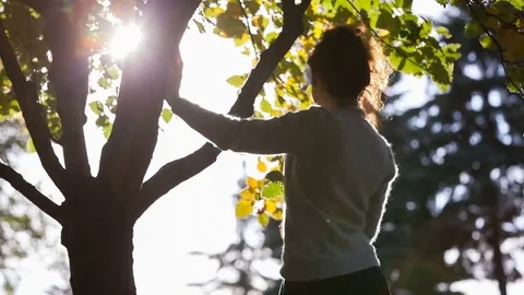 Young lady seats on the grass Video stock 69242858