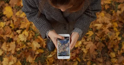 Young lady taking top view photo of legs in yellow leaves outdoors  Stock Footage 120006929