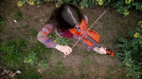 Young Lady Violin Player Practicing in Nature Top Down Shot Vidéo 289669898