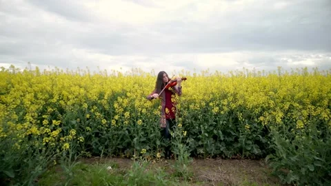 Young Lady Violin Player Practicing in Nature Push In Shot Vidéo 289669930