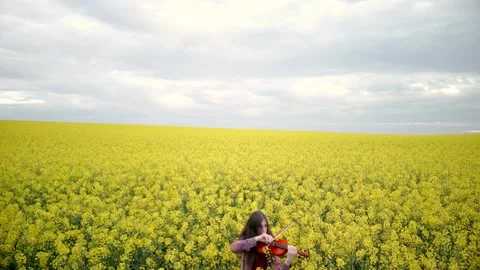 Young Lady Violin Player Practicing in Nature Top Down Reveal Shot Vidéo 289669942