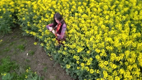 Young Lady Violin Player Practicing in Nature Top Down Hellix Shot Vidéo 289669948