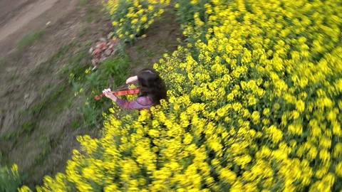 Young Lady Violin Player Practicing in Nature Rapid Hellix Shot Vidéo 289669969
