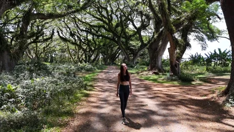 Young lady is walking along a magic forest path in East Java, Indonesia Stock Footage 316194625