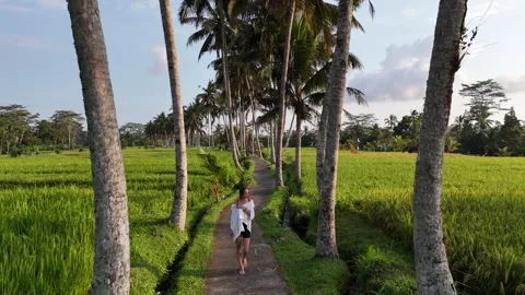 Young lady walking on rice field with palm trees Bali, Indonesia. Stock Footage 319924477