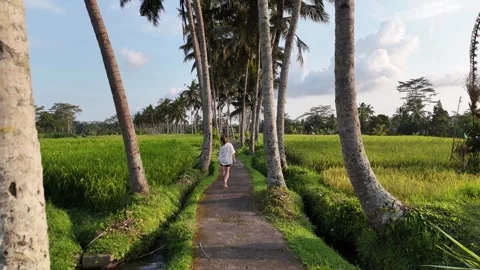 Young lady walking on rice field with palm trees Bali, Indonesia. Stock Footage 319924489