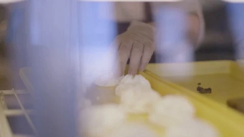 Young Lady Working at Bakery | Cinematic Slow Motion 60P Vídeo Stock 129388145