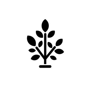 Young leafy tree or seedling. Vector flat black icon isolated on white. Illustration