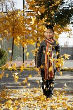 Young leaves falling on young boy Stock Photos