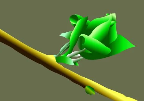 Young leaves Stock Illustration