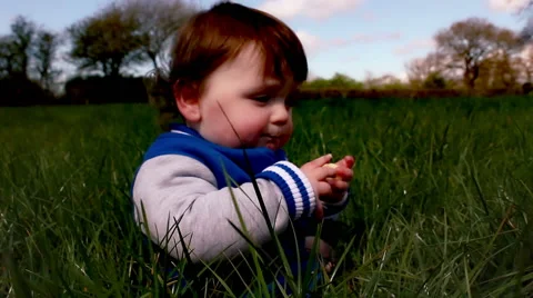 Young little boy learning to walk in grass meadow Stock Footage 64288040