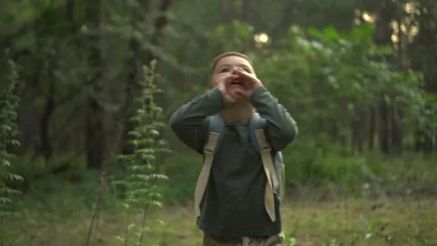 Young Lost Boy Searching for Help in the Forest Stock Footage 343894292