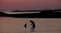 young lovers play in the sea at sunset - boy and girl play in the sea HD Footage