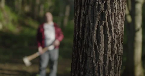 Young Lumberjack about to cut down tree Stock Footage 148178891