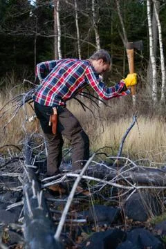 Young lumberjack chopping firewood from deadfall Stock Photos