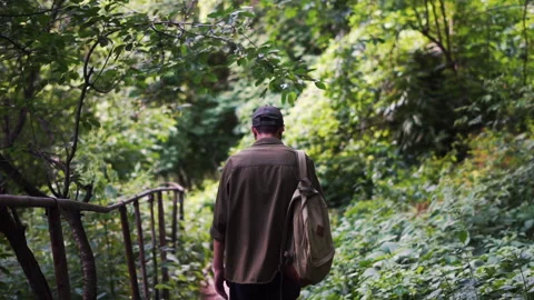 Young male backpacker walking down the path at the forest. Nature traveling Video stock 211107078