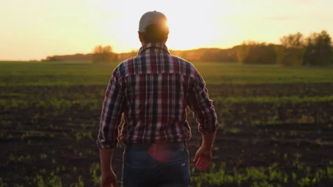 Young male farmer man in rubber boots, shirt walking through vegetables growing Stock Footage