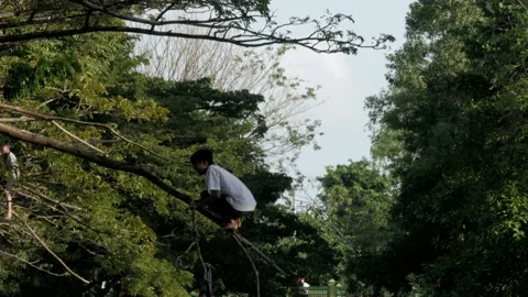 Young male playing with tree branch above the polluted river Stock Footage 132451807