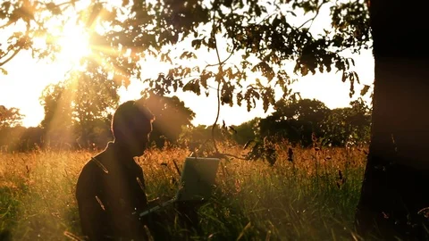 Young male using laptop technology in nature Video stock 72554237