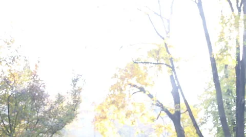 Young man and women playing guitar and singing in park Stock Footage 59556850