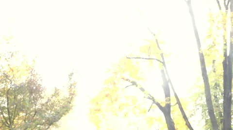 Young man and women playing guitar and singing in park Stock Footage 59556859