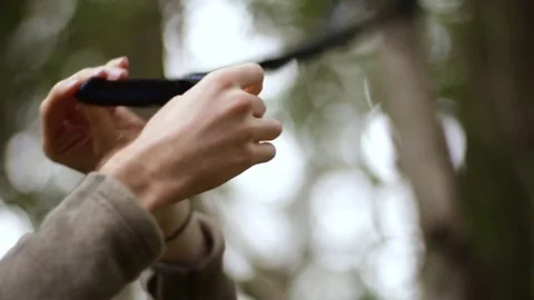 Young Man Attaches Hammock Strap To Tree In Forest, Closeup Of His Hands Stock Footage 78557408