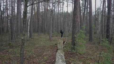Young man in the background in the forest Stock Footage 231715471