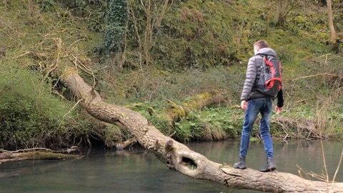 Young man with backpack crossing the mountain river along a fallen tree Stock Footage 106777987