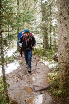 Young man with backpack in forest Stock Photos