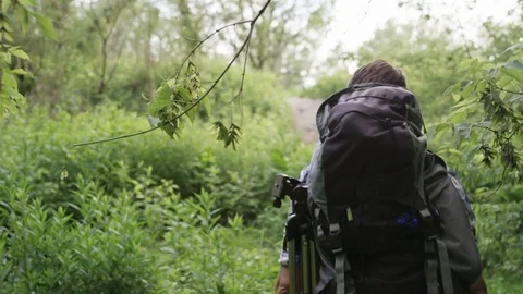 Young Man With a Backpack Hiking in the Woods Stock Footage 77673603