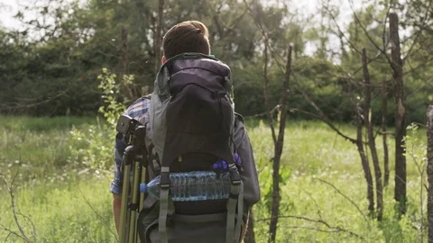 Young Man With a Backpack Standing in the Woods Stock Footage 77669115