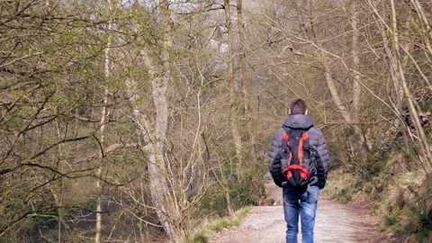 Young man with a backpack is walking along a forest path. Stock Footage 106776988