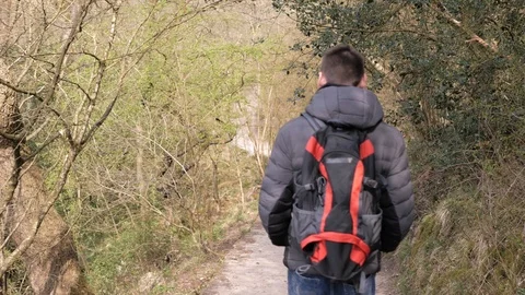 Young man with a backpack is walking along a forest path. Stock Footage 106777031