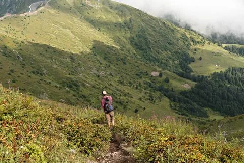 Young man with a backpack walking in Caucasus green mountains among rhododendron Stock Photos