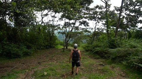 Young Man With Backpack Walking Down In Jungle Forest [Slow Motion] Stock Footage 88884151