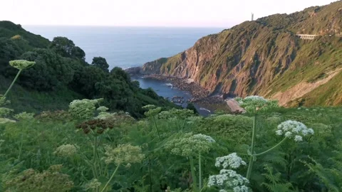 Young man with backpack walking on paths Stock Footage 130855099