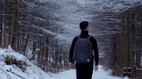 Young man with backpack walking on snowy path through winter forest landscape Stock Footage 342281536