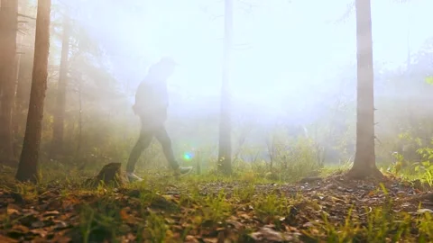 Young man with backpack walking through tall trees in sunny forest 스톡 동영상 153936725