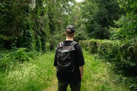 A young man with a backpack walks in the forest, view from the back. Stock Photos