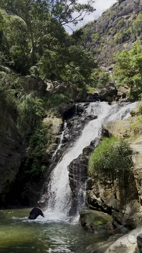 A young man is bathing in a waterfall. Sri Lanka Stock Footage 224852799