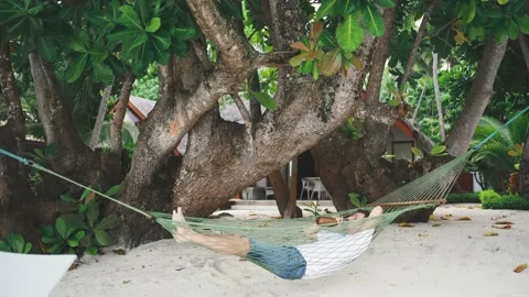 A young man on the beach in a hammock is resting and drinking water. Stock Footage 146651946
