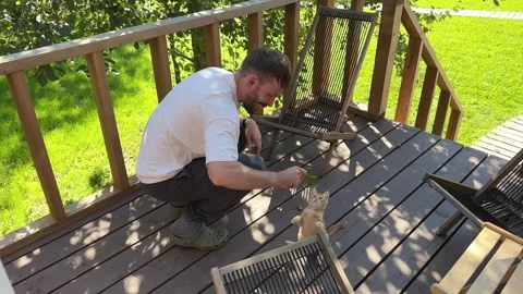 A young man with a beard is playing with a little red-haired kitten Stock Footage 342268650